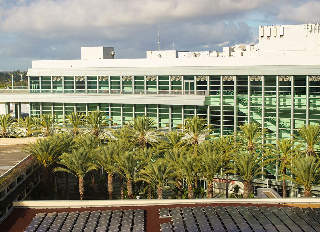 About Our Agency - View of a Modern Commercial Building in Downtown Anaheim California Surrounded by Palm Trees Against a Cloudy Sky